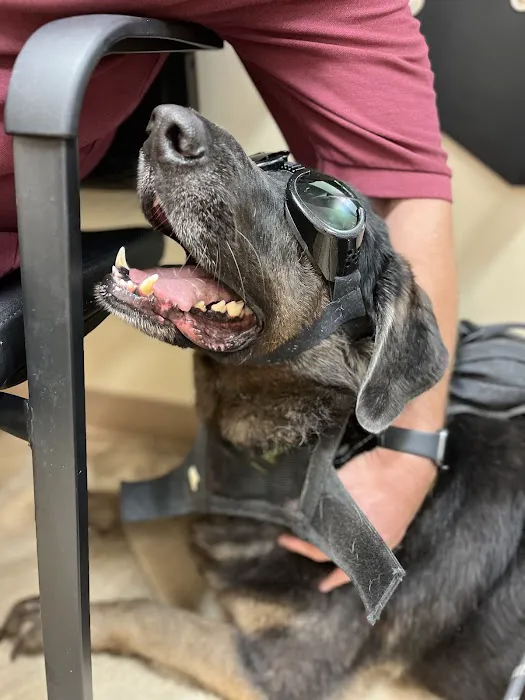 Care Animal Center Picture 5