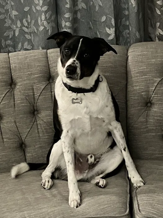 Care Animal Center Picture 7