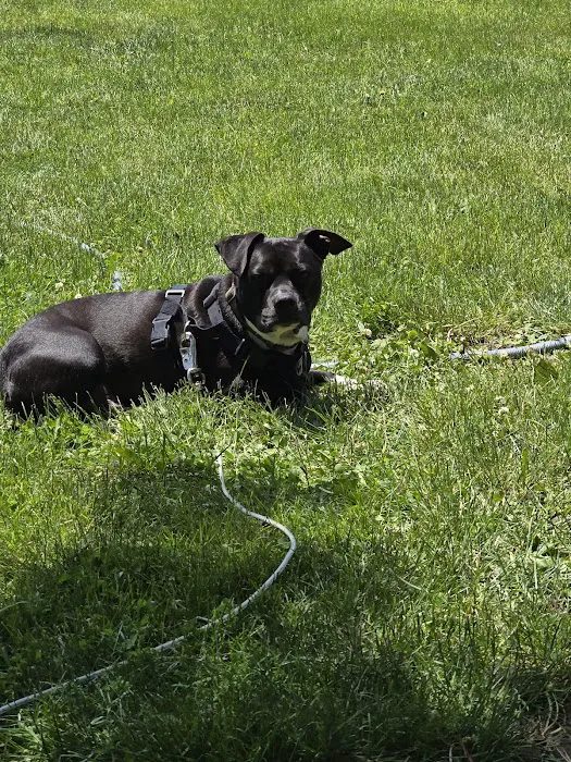 Kimberly Pines Veterinary Hospital Picture 2