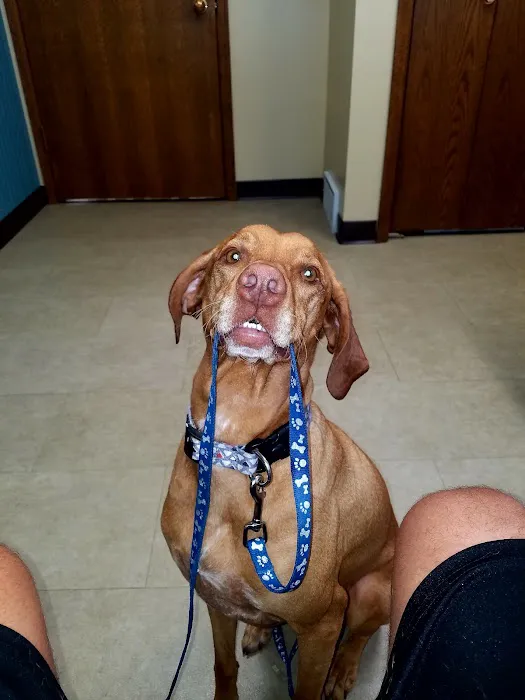 Kimberly Pines Veterinary Hospital Picture 1