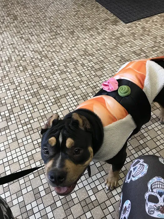 Kimberly Pines Veterinary Hospital Picture 3