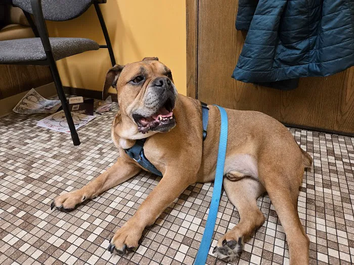 Kimberly Pines Veterinary Hospital Picture 9
