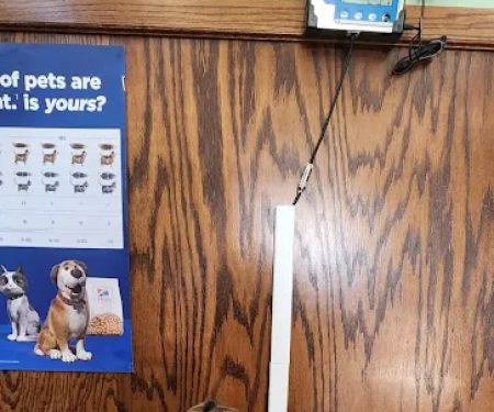 Kimberly Pines Veterinary Hospital: Buckingham Alinda DVM