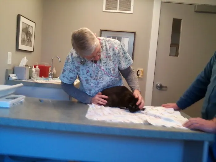 Cat Clinic of the Quad Cities Picture 8