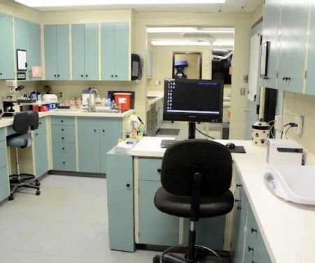 Oak Knoll Animal Hospital