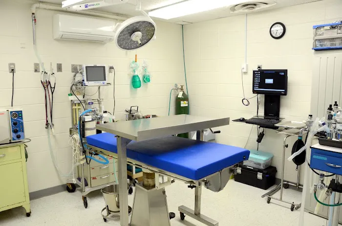 Oak Knoll Animal Hospital Picture 10