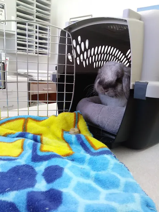 Quad City Pet Care Picture 7