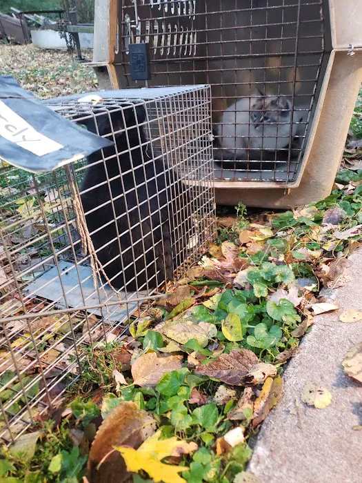 Animal welfare center Picture 4
