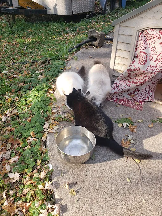 Animal welfare center Picture 6