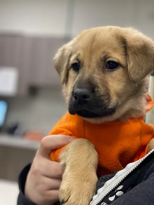 City Line Veterinary Center Picture 4