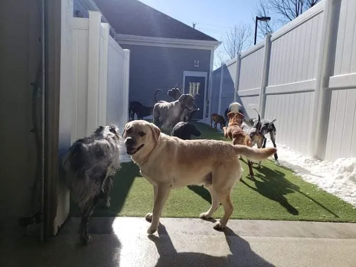 City Line Veterinary Center Picture 2