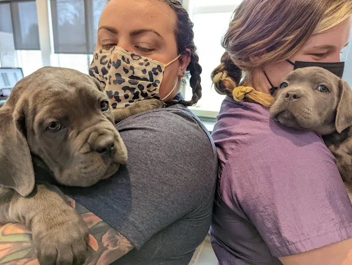 City Line Veterinary Center Picture 3