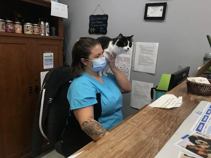 Wags and Whiskers Veterinary Service Picture 4