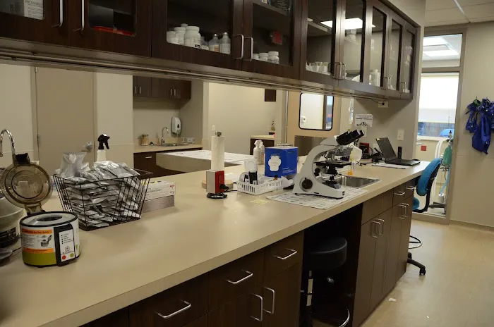Ulm Veterinary Clinic Picture 5
