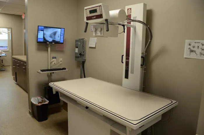 Ulm Veterinary Clinic Picture 6