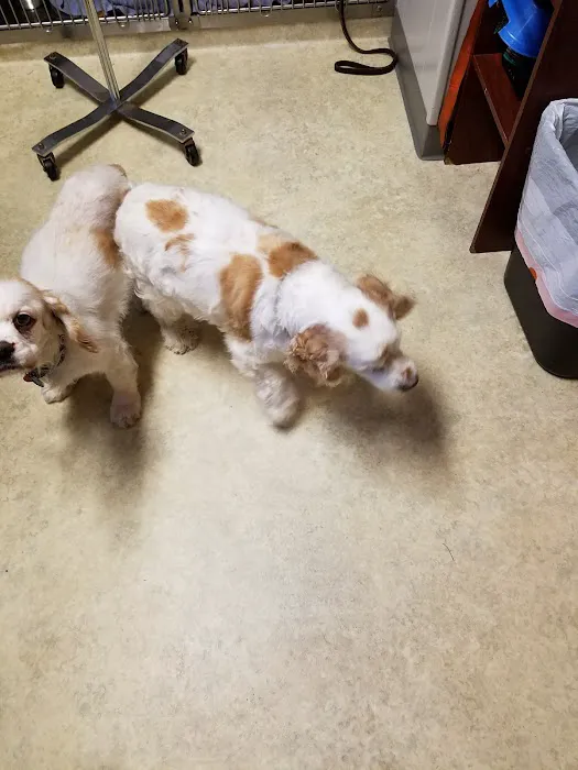 Ulm Veterinary Clinic Picture 10
