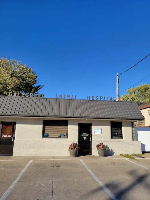Galesburg Animal Hospital PC Picture 1