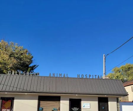 Galesburg Animal Hospital PC