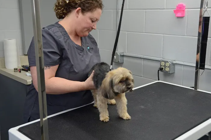 Galesburg Animal Hospital PC Picture 4