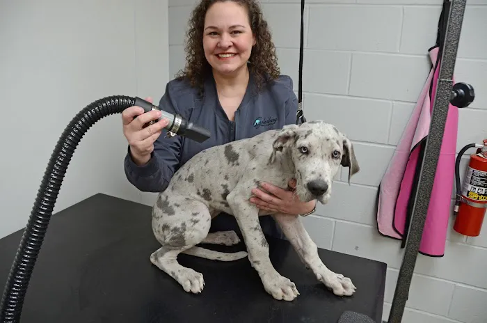 Galesburg Animal Hospital PC Picture 5