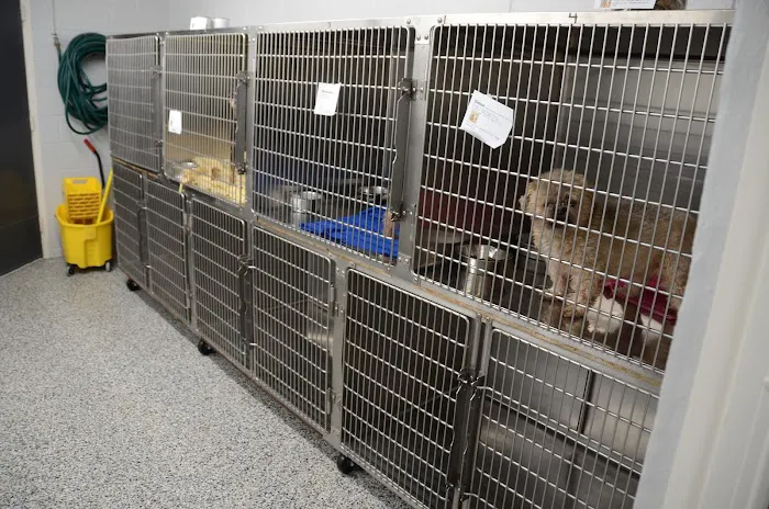 Galesburg Animal Hospital PC Picture 6