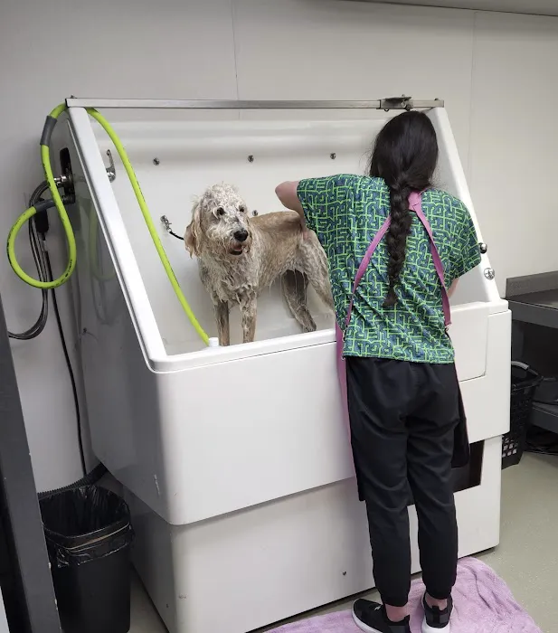 Galesburg Animal Hospital PC Picture 8
