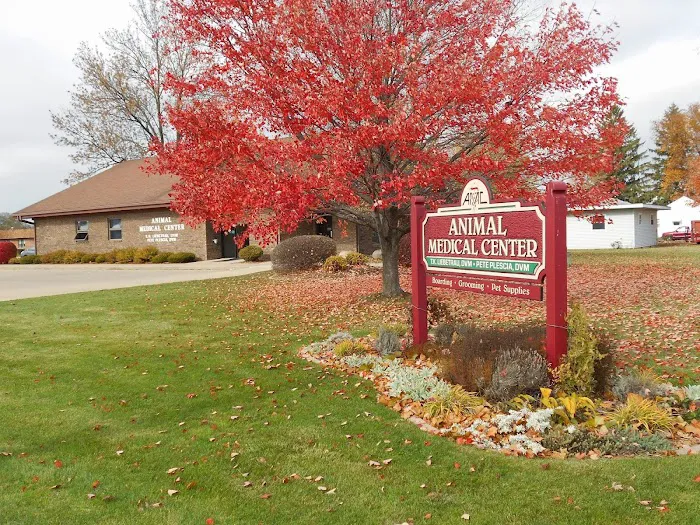 Animal Medical Center Picture 2