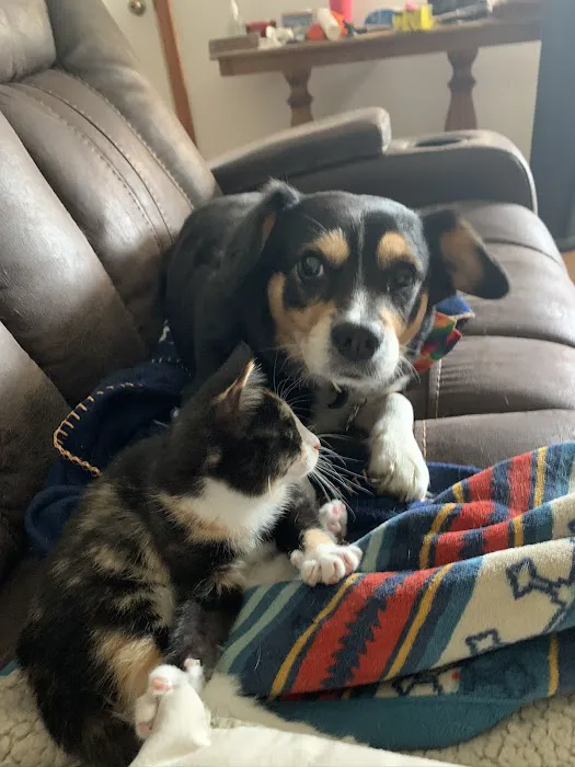 Knox Pet Clinic Picture 8