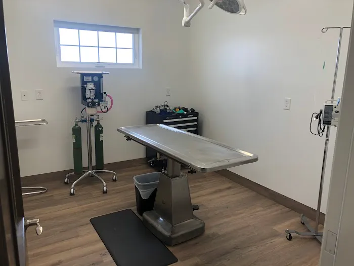 Country Oaks Veterinary Clinic, PLLC Picture 9