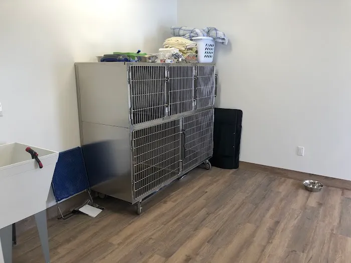 Country Oaks Veterinary Clinic, PLLC Picture 10