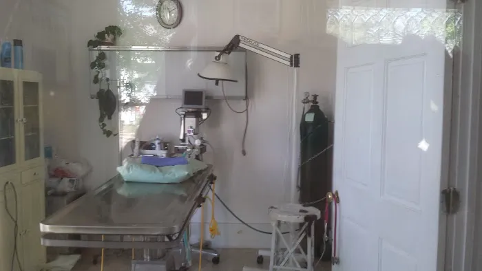 Green Pastures Veterinary SC Picture 3