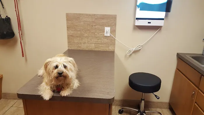 Evansville Veterinary Service Picture 3