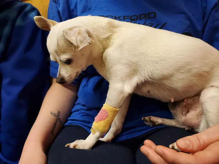 Evansville Veterinary Service Picture 1