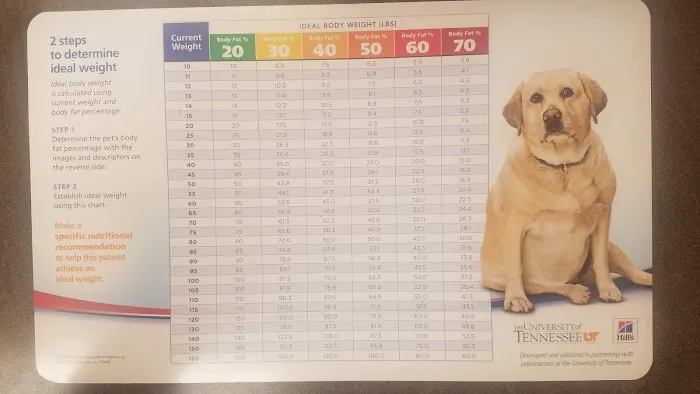 Evansville Veterinary Service Picture 8