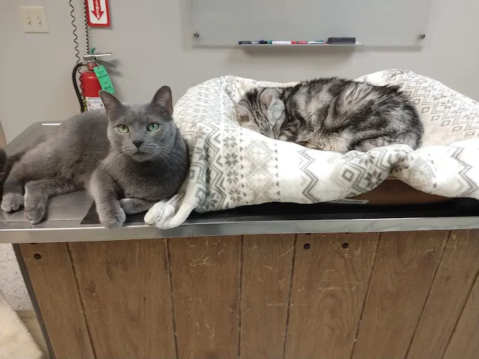 Blackhawk Veterinary Hospital Picture 2