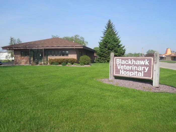 Blackhawk Veterinary Hospital Picture 5