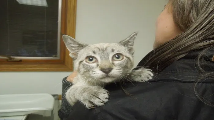 Blackhawk Veterinary Hospital Picture 9