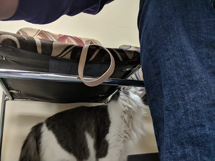 Creature Comforts House Call Veterinary Service Picture 2