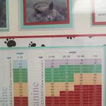 Wind Lake Animal Hospital