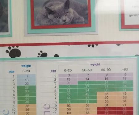 Wind Lake Animal Hospital