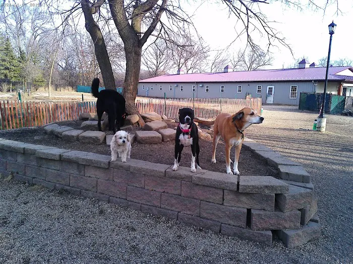 Brentwood Animal Campus Picture 4