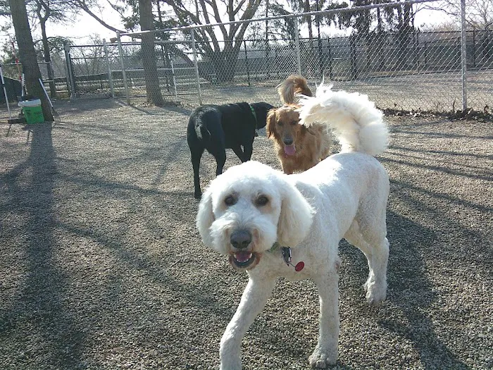 Brentwood Animal Campus Picture 6