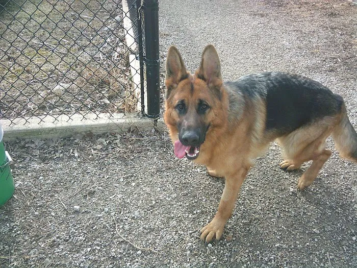 Brentwood Animal Campus Picture 5