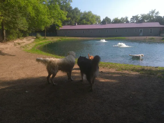 Brentwood Animal Campus Picture 7