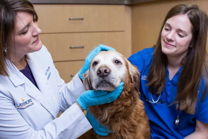 BluePearl Pet Hospital Picture 4