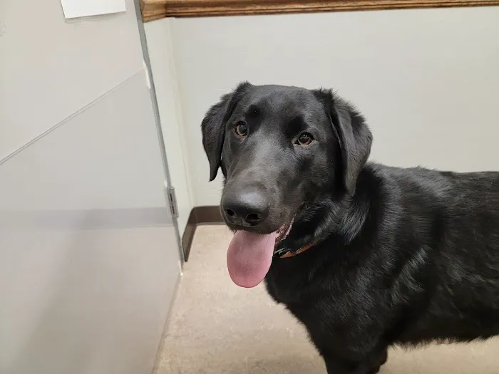 Muskego Animal Hospital Picture 7