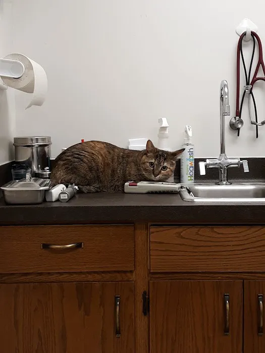 Muskego Animal Hospital Picture 10