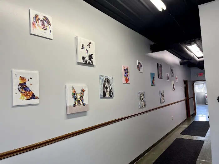 Star Veterinary Center of Muskego Picture 2