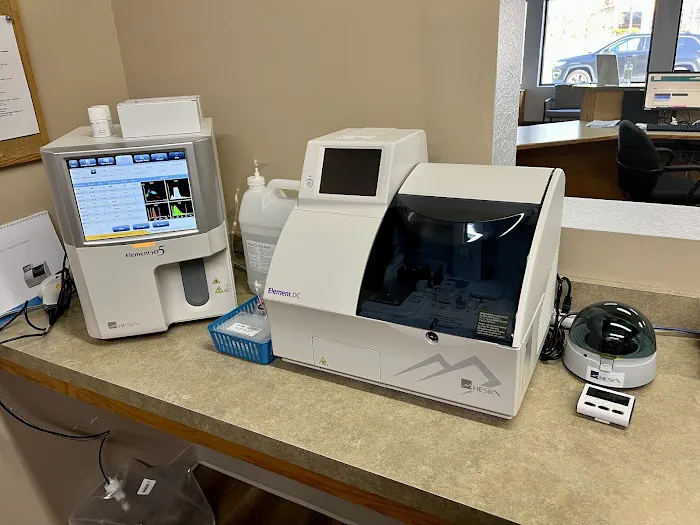 Star Veterinary Center of Muskego Picture 6