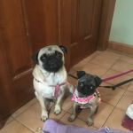 Bayview Veterinary Clinic: Wintermantel Gina DVM